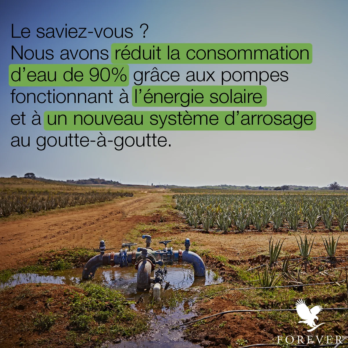 Le saviez-vous ? Forever Living a réduit sa consommation d'eau de 90% grâce à l'énergie solaire