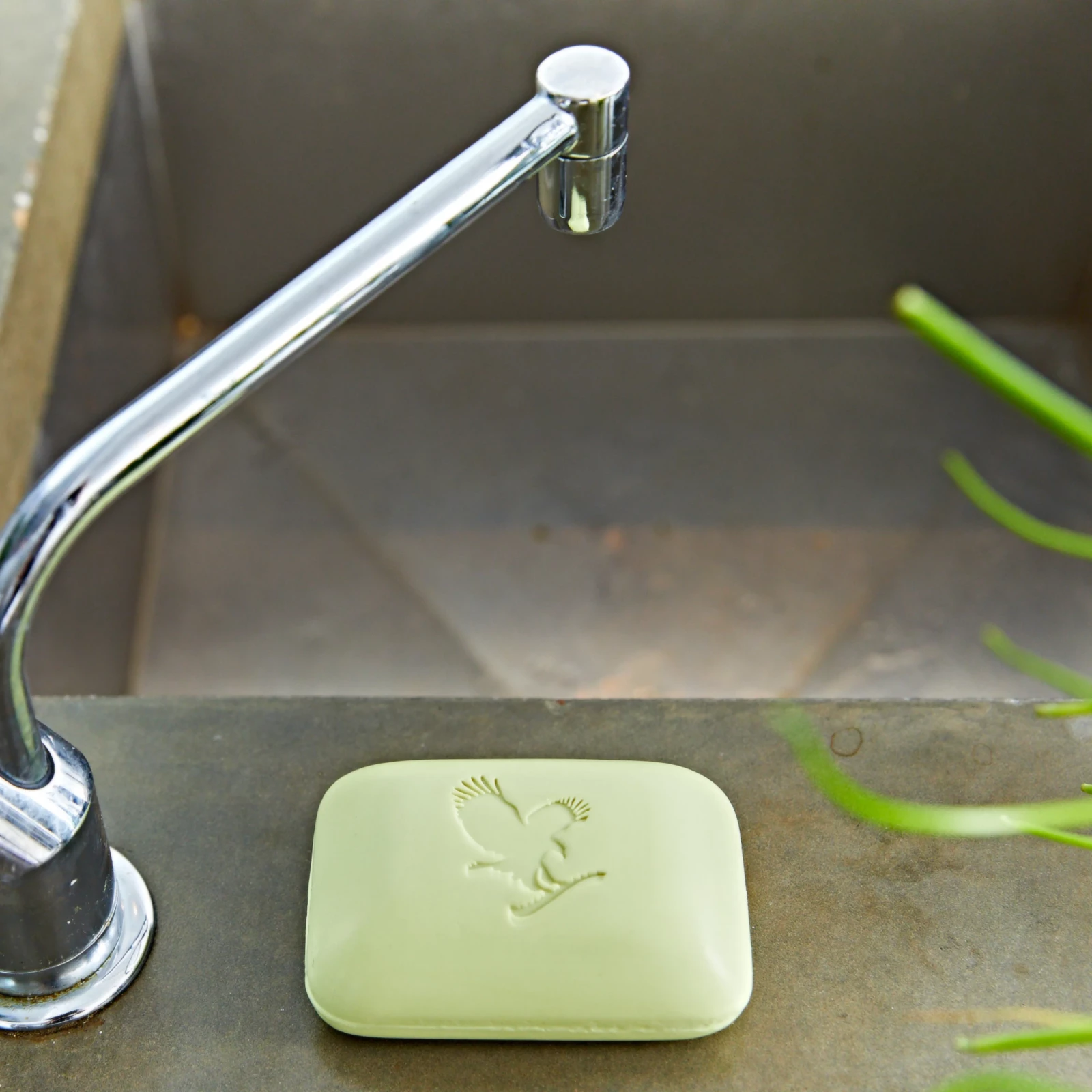 Forever Aloe Avocado Face & Body Soap – Le savon hydratant qui respecte votre peau